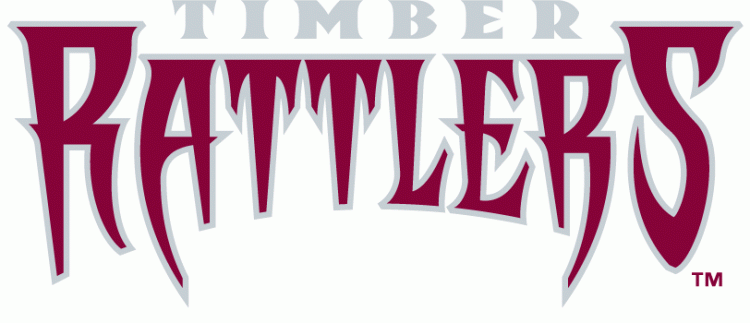 Wisconsin Timber Rattlers 2011-pres wordmark logo iron on heat transfer